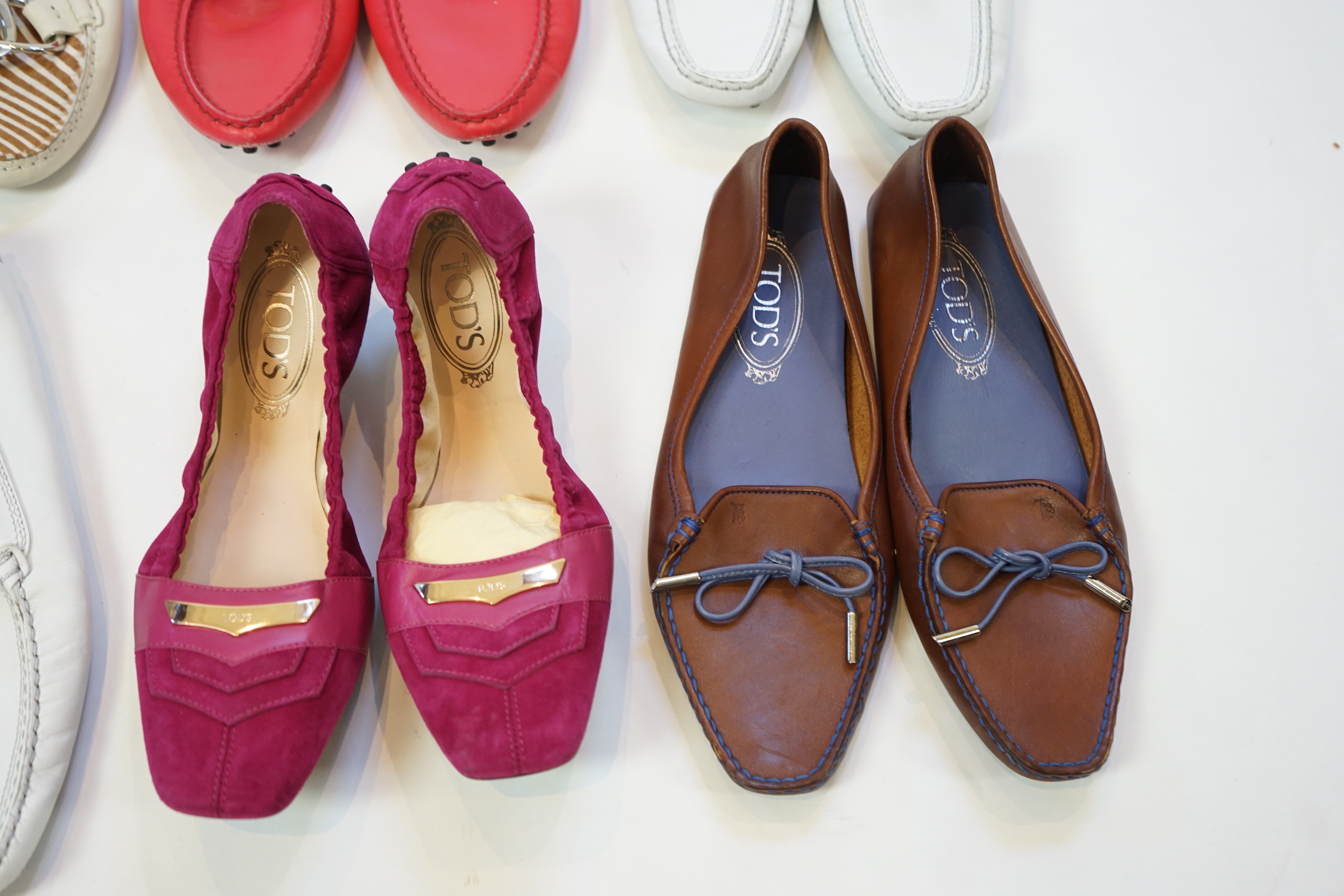 Six pairs of lady's Tod's loafers in a variety of styles and colours, size EU 39